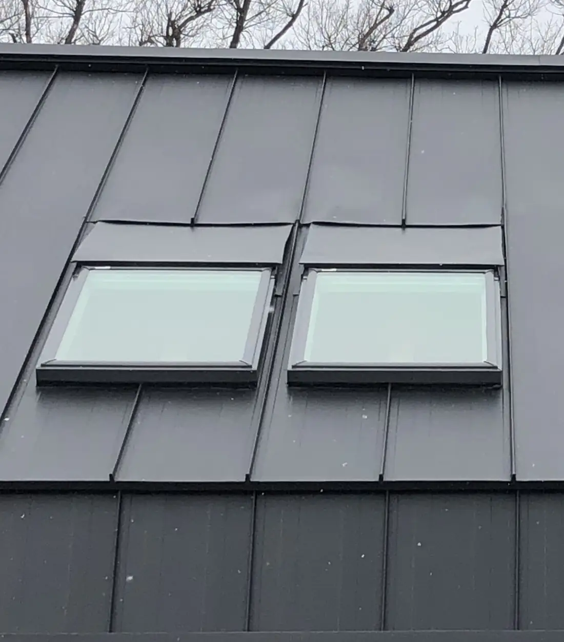 縦葺きの屋根に天窓2基